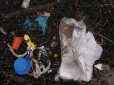 Plastic waste on a UK beach