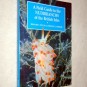 Picture of the nudibranch guidebook
