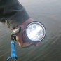 Picture of Kowalski torches