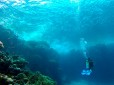 Picture of Camel Dive Club, Red Sea