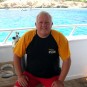 Picture of Elite Diving in the Red Sea