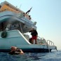 Picture of Elite Diving in the Red Sea