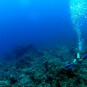 Picture of Camel Dive Club, Red Sea