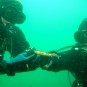 Simon (l) and Justin examine a tame pipefish