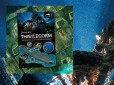 Diving the Thistlegorm guide book