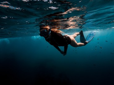 Oceanic Predator freedive kit