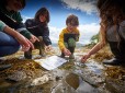 BSAC Shore Surveyor - (C) Seawilding